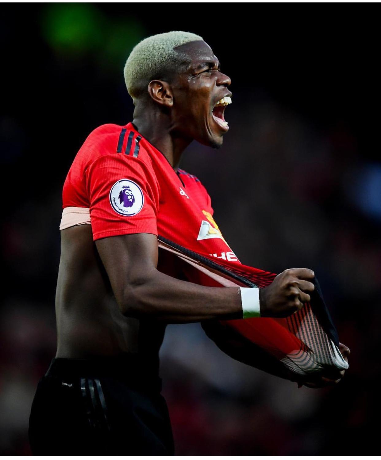 My Ancestors Suffered For My Generation; Racist Insults Are Ignorance And Motivate Me-Paul Pogba 1 268BF05A E157 4FA5 9304 895EED873A58