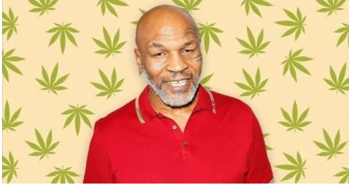Mike Tyson admits spending $40,000 monthly on weed after buying marijuana ranch