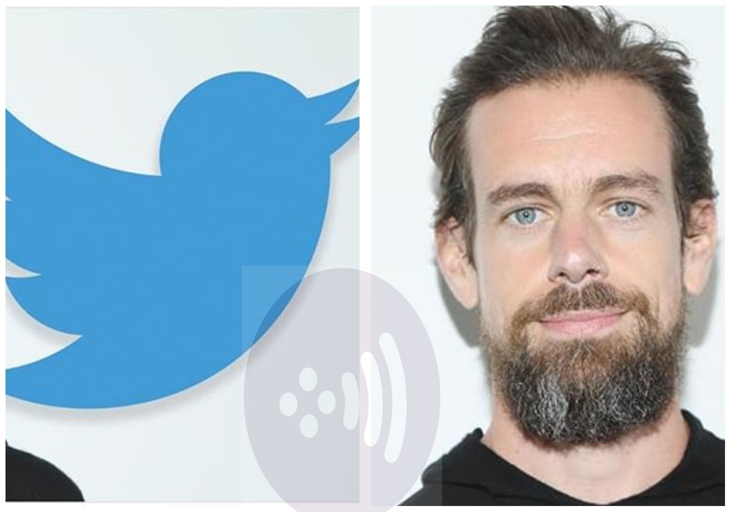 Twitter tells employees they can now work from home 'forever'